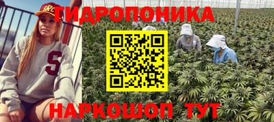 гидропоника Лесосибирск