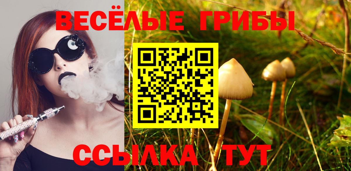 наркотики  Вход с VPN  Чехов  Галлюциногенные грибы мухоморы  Галлюциногенные грибы прущие грибы 